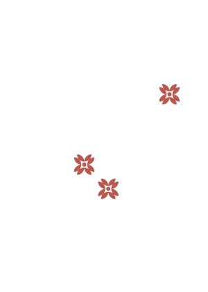 Inicio flores rosa lateral 1