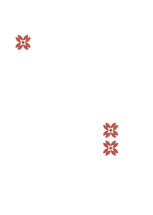 Inicio flores rosa lateral 2