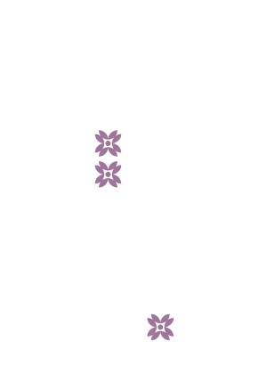 Inicio flores violet lateral 1