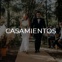 Inicio casamientos gris